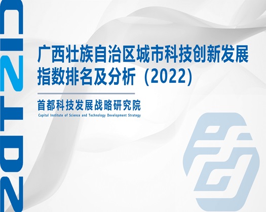 鸡巴插进逼里的网站【成果发布】广西壮族自治区城市科技创新发展指数排名及分析（2022）